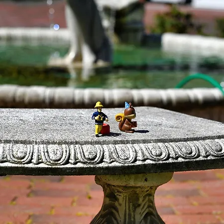 Meereskoenig 1 Apartamento