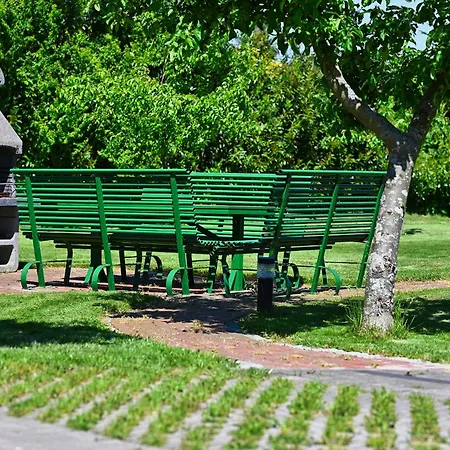 Meereskoenig 1 * Büsum