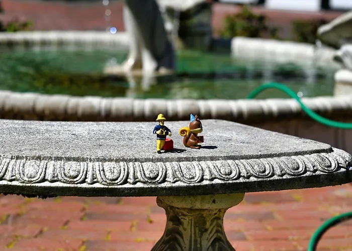 Meereskönig 1 Apartment